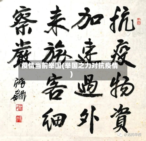 疫情当前举国(举国之力对抗疫情)