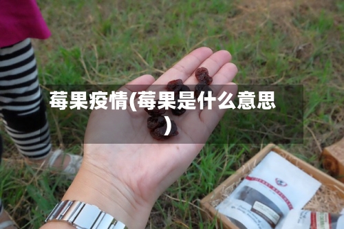 莓果疫情(莓果是什么意思)-第2张图片