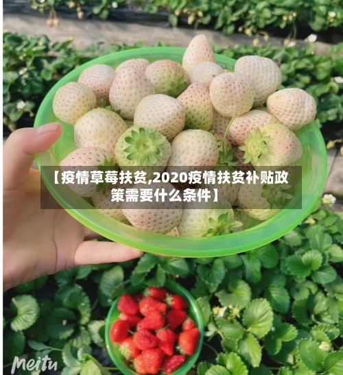 【疫情草莓扶贫,2020疫情扶贫补贴政策需要什么条件】