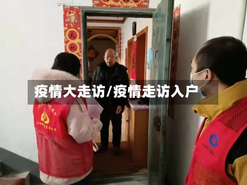 疫情大走访/疫情走访入户