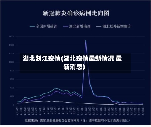 湖北浙江疫情(湖北疫情最新情况 最新消息)-第2张图片