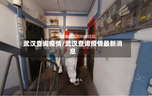 武汉查询疫情/武汉查询疫情最新消息