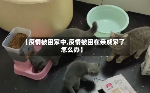 【疫情被困家中,疫情被困在亲戚家了怎么办】