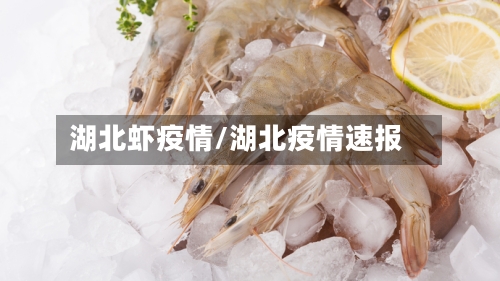 湖北虾疫情/湖北疫情速报-第2张图片