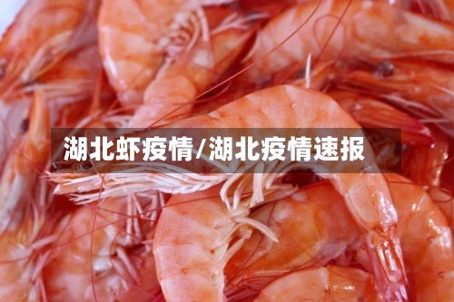 湖北虾疫情/湖北疫情速报
