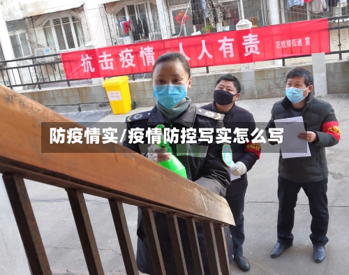 防疫情实/疫情防控写实怎么写
