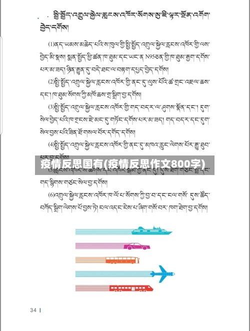 疫情反思国有(疫情反思作文800字)