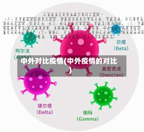 中外对比疫情(中外疫情的对比)-第2张图片