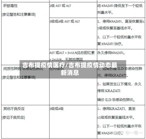 吉布提疫情医疗/吉布提疫情动态最新消息