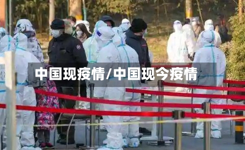 中国现疫情/中国现今疫情