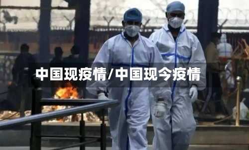 中国现疫情/中国现今疫情-第3张图片