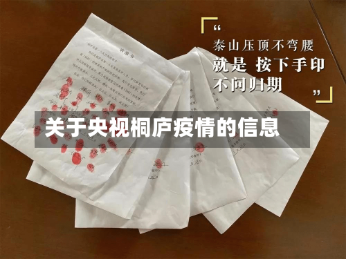 关于央视桐庐疫情的信息-第2张图片