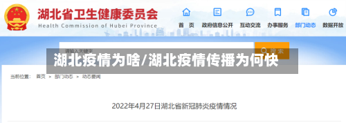 湖北疫情为啥/湖北疫情传播为何快-第2张图片