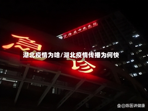 湖北疫情为啥/湖北疫情传播为何快-第3张图片