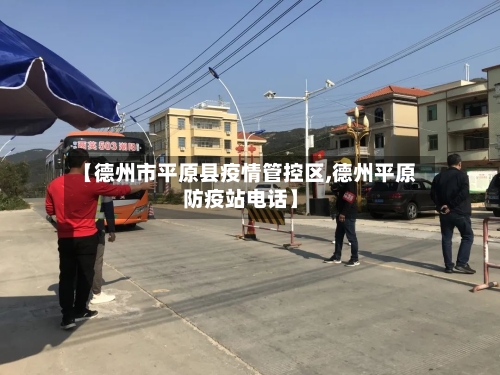 【德州市平原县疫情管控区,德州平原防疫站电话】