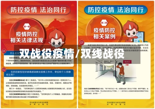 双战役疫情/双线战役-第2张图片