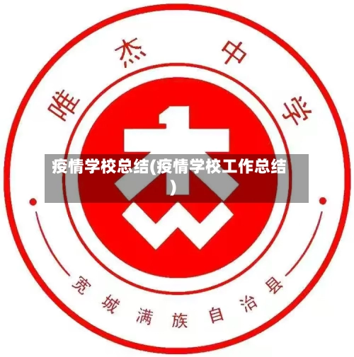 疫情学校总结(疫情学校工作总结)-第2张图片