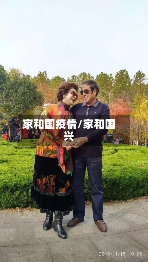家和国疫情/家和国兴