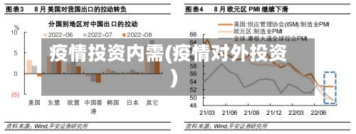 疫情投资内需(疫情对外投资)