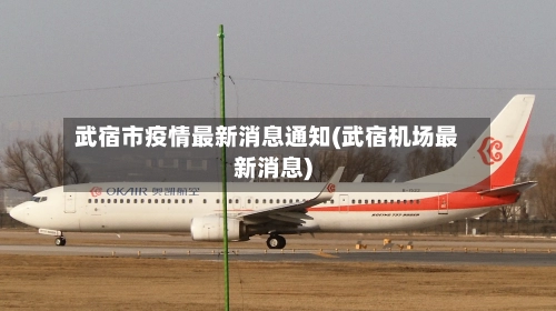 武宿市疫情最新消息通知(武宿机场最新消息)-第2张图片