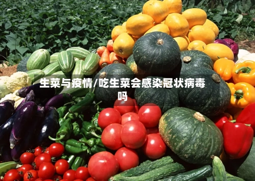生菜与疫情/吃生菜会感染冠状病毒吗-第3张图片