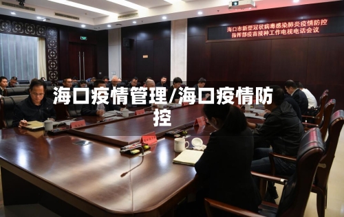 海口疫情管理/海口疫情防控