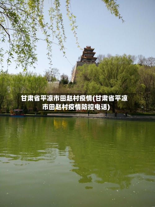 甘肃省平凉市田赵村疫情(甘肃省平凉市田赵村疫情防控电话)
