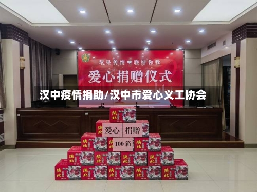 汉中疫情捐助/汉中市爱心义工协会