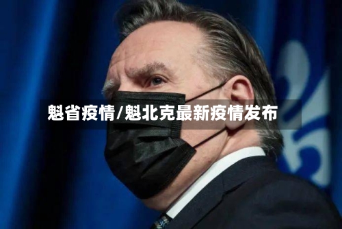 魁省疫情/魁北克最新疫情发布-第3张图片
