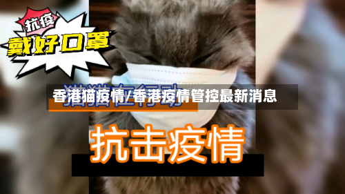 香港猫疫情/香港疫情管控最新消息