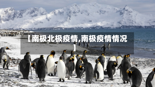 【南极北极疫情,南极疫情情况】-第2张图片