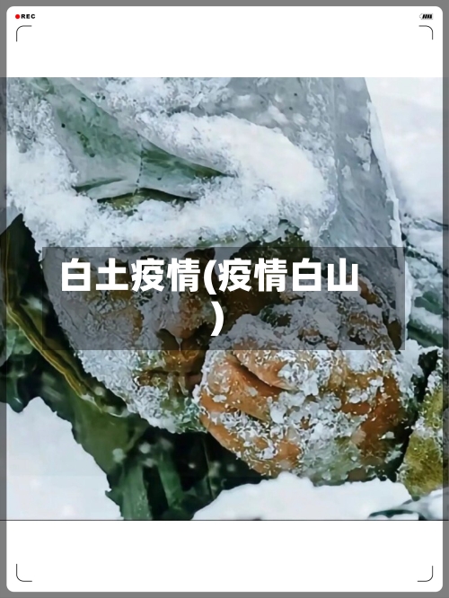 白土疫情(疫情白山)-第2张图片