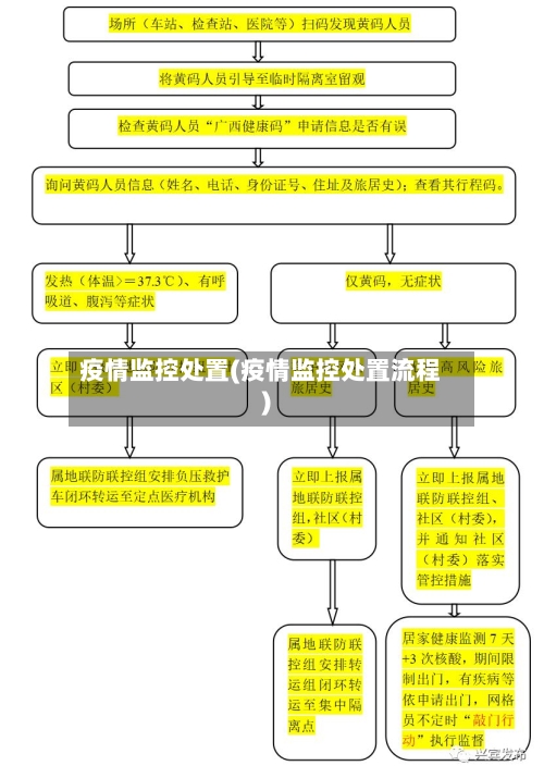 疫情监控处置(疫情监控处置流程)-第2张图片
