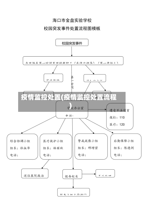 疫情监控处置(疫情监控处置流程)