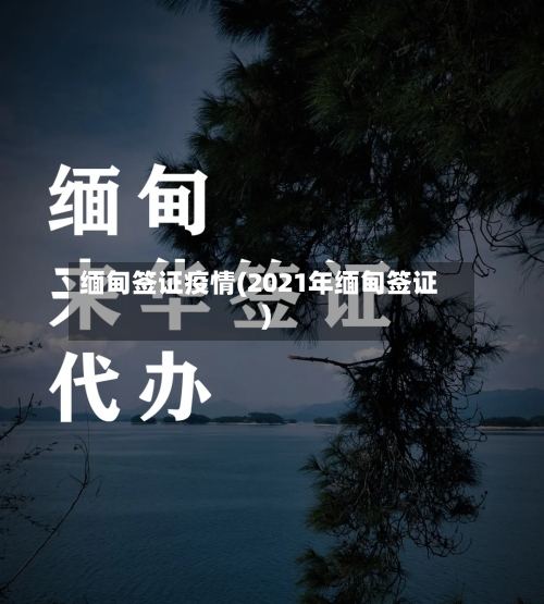 缅甸签证疫情(2021年缅甸签证)