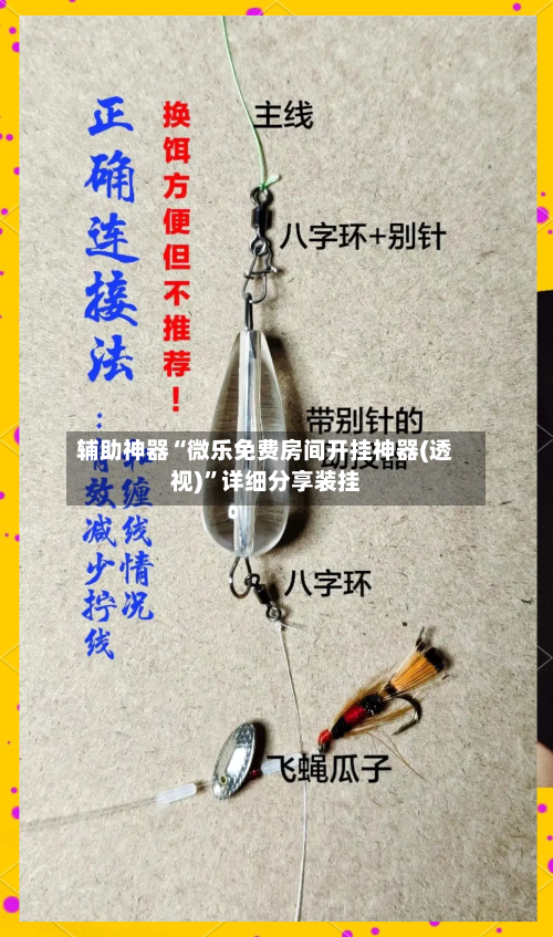 辅助神器“微乐免费房间开挂神器(透视)	”详细分享装挂-第2张图片