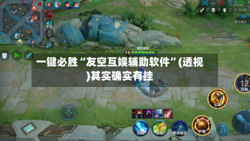 一键必胜“友空互娱辅助软件	”(透视)其实确实有挂-第2张图片