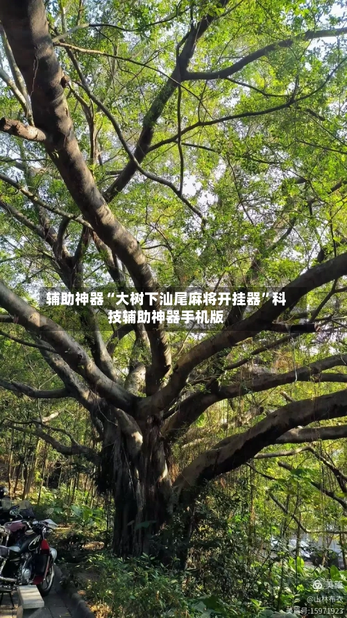 辅助神器“大树下汕尾麻将开挂器”科技辅助神器手机版-第2张图片