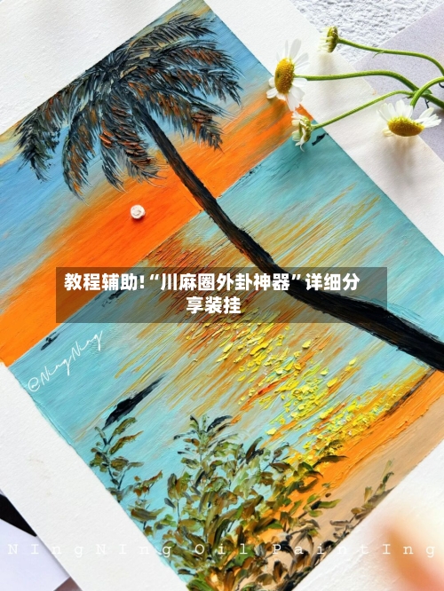 教程辅助!“川麻圈外卦神器”详细分享装挂