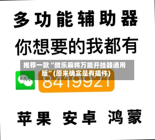 推荐一款“微乐麻将万能开挂器通用版”(原来确实是有插件)-第3张图片