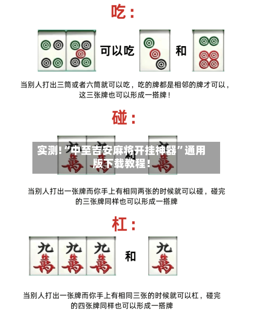 实测!“中至吉安麻将开挂神器	”通用版下载教程！-第2张图片