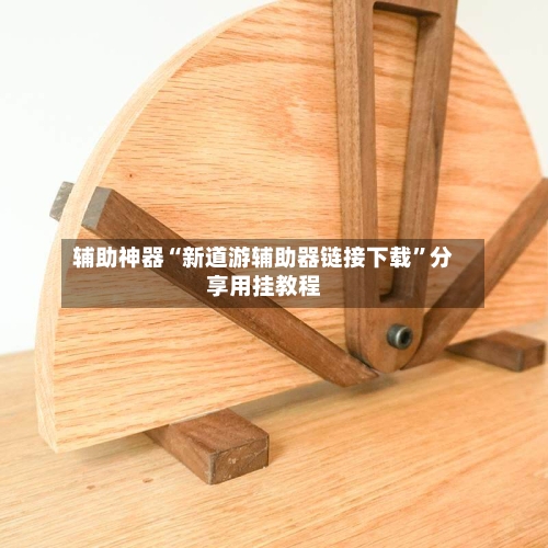 辅助神器“新道游辅助器链接下载”分享用挂教程