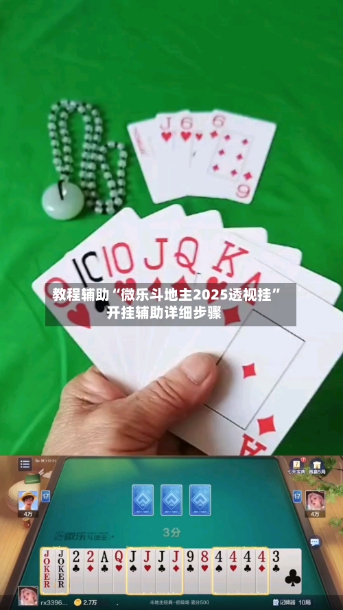 教程辅助“微乐斗地主2025透视挂”开挂辅助详细步骤-第2张图片