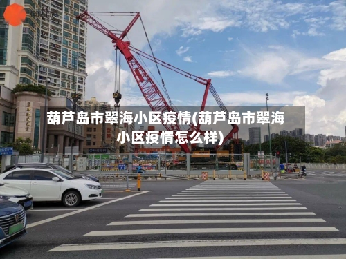 葫芦岛市翠海小区疫情(葫芦岛市翠海小区疫情怎么样)-第2张图片