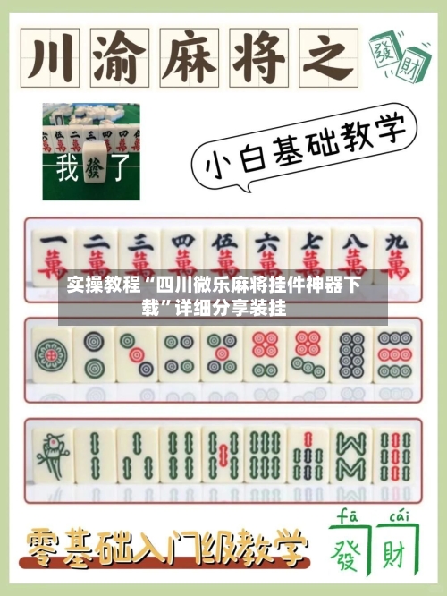 实操教程“四川微乐麻将挂件神器下载	”详细分享装挂-第3张图片