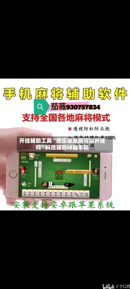 开挂辅助工具“微乐亲友房可以开挂吗	”科技辅助神器手机-第2张图片