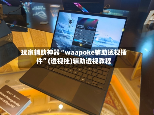 玩家辅助神器“waapoke辅助透视插件	”(透视挂)辅助透视教程-第2张图片