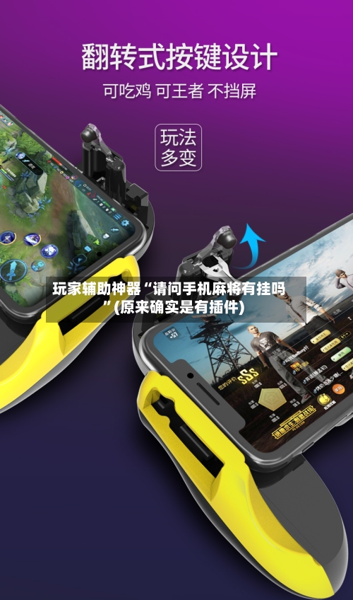 玩家辅助神器“请问手机麻将有挂吗”(原来确实是有插件)-第2张图片