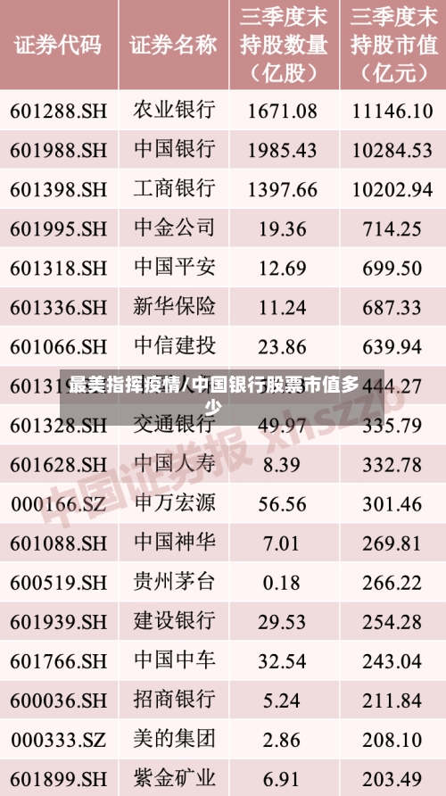 最美指挥疫情/中国银行股票市值多少-第2张图片