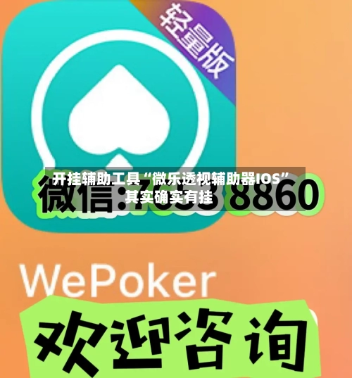 开挂辅助工具“微乐透视辅助器IOS”其实确实有挂-第2张图片